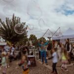 carousel-services-06